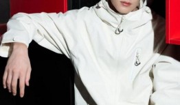 王鹤棣八卦爆料最新,揭秘娱乐圈背后的惊人真相