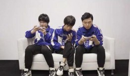 狼队转会期最新爆料,揭秘新赛季引援动向与神秘新援之谜