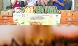 晓航团队爆料视频播放时间,视频播放时间背后的惊人真相