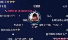 小智直播爆料斗鱼视频,斗鱼视频幕后制作过程大公开