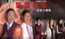 与碟同谋在线观看,同谋密影，在线揭秘