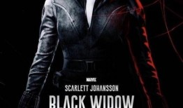 黑寡妇黑客爆料视频播放,揭秘网络世界的暗流涌动