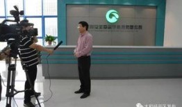 阜阳太和新闻爆料,惊现重大事件，真相令人震惊！