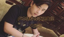爆料五嫂主播视频下载,下载背后的故事与真相