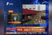 河南都市爆料尉氏新闻视频,河南都市爆料最新视频揭秘事件真相