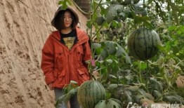 s湾网红旅拍基地吃瓜,揭秘网红美食背后的秘密