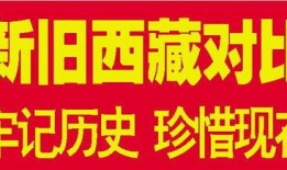 山东百姓要闻爆料视频最新,最新视频揭露惊人真相！
