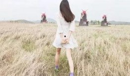 娱乐大爆料背影照片女,揭秘娱乐大爆料中的神秘美女