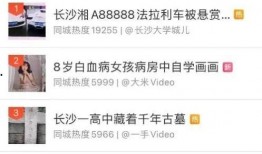 湖南新闻爆料视频播放时间,揭秘背后真相