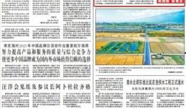 枝江新闻爆料,揭秘当地热点事件背后的真相