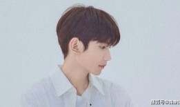 王源狗仔爆料视频播放,揭秘明星私生活幕后真相