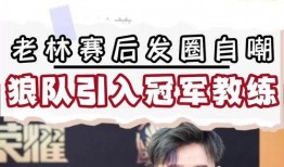 狼队转会期最新爆料,揭秘新赛季引援动向与神秘新援之谜