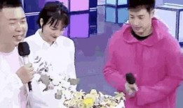 网红结婚吃瓜视频播放下载,海量视频播放下载，揭秘明星婚典幕后