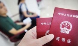 深圳离婚最新爆料排队,最新爆料揭示排队离婚背后的社会现象