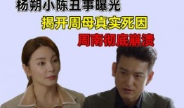 调解爆料母亲丑事视频