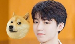 王俊凯吃瓜娱乐视频直播,揭秘娱乐圈幕后故事