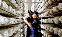 云南永善爆料案件最新,真相揭开，疑云散去，正义终至