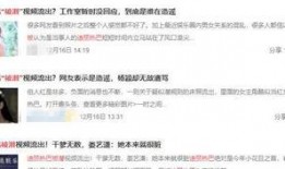 迪丽热巴隐私被爆料视频,真相与争议