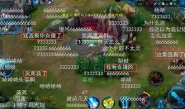 王者大小姐爆料视频大全,揭秘游戏幕后精彩瞬间