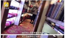 浪老师假视频爆料,一场网络炒作的狂欢