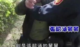 最新舅舅爆料视频大全,揭秘娱乐圈幕后真相