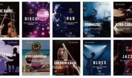 爆料类视频音乐有哪些,盘点那些火遍网络的旋律