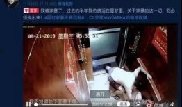 盛宇被爆料家暴视频,真相与反思