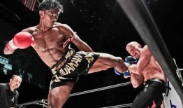 泰拳王在线观看,热血对决，在线激战一触即发