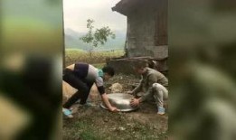 热点爆料李小龙视频,传奇武术宗师的真实影像曝光