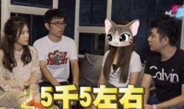 娱乐圈爆料酒店事件真相,揭开神秘面纱