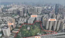 长沙新楼盘爆料事件视频