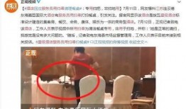 蓝海大饭店员工爆料视频,揭秘酒店内部惊人真相！